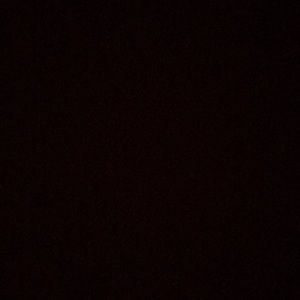 Meet your Posher, Lila